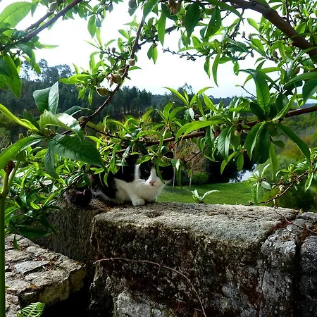 Quinta Dos Tres Rios